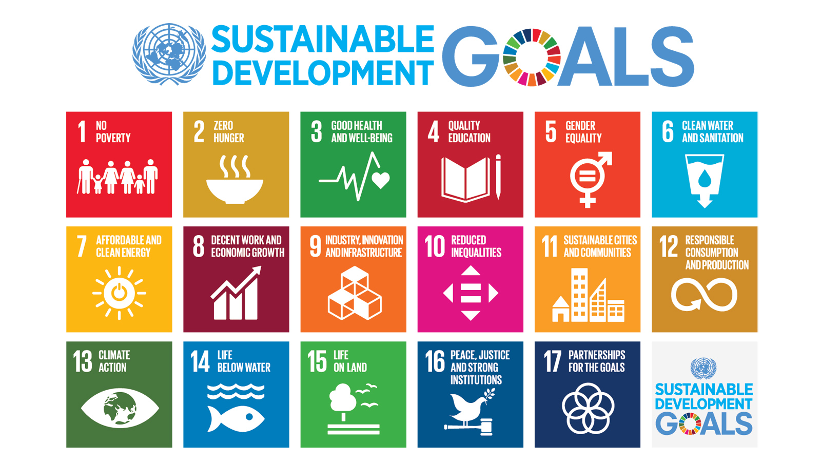 E_2018_SDG_Poster_with_UN_emblem